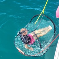 Notpinne, Treibanker & Co